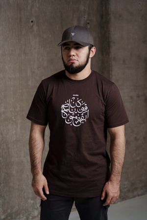 Футболка SJ-124 Brown