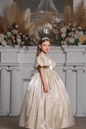 Пышное Длинное Платье в Комплекте с Короной Stok Kod: PXN 22039