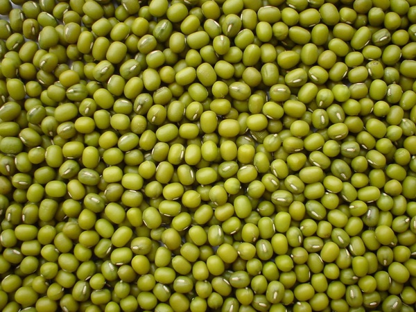 Маш зеленный