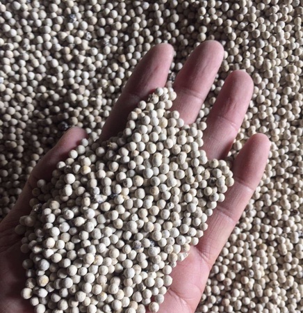 Baharatlar karabiber. En yüksek kalitede kurutulmuş gevşek karabiber. Vietnam'da üretildi.