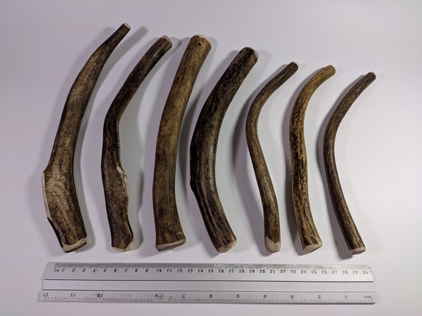 Рога северного оленя с нашей фермы свежие, сухие, мохнатые, цельные и всех размеров