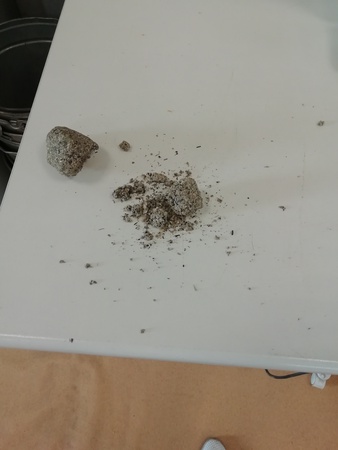 Shrot protein GOST 11246-96 38-39% of a.s.v. (toast, granule)