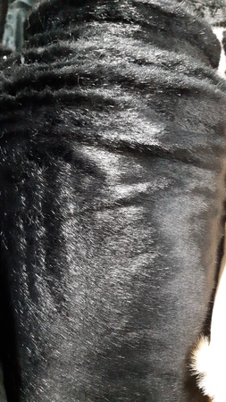 Искуственный мех, каракуль,норка