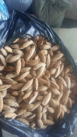 Сухофрукты,фрукты, орех, бобовые