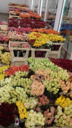 flowers wholesale chrysanthemum roses gerbera