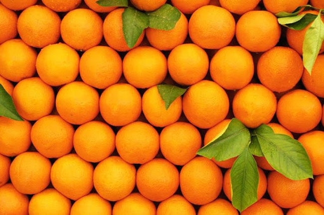 Fresh Oranges (Egypt)
