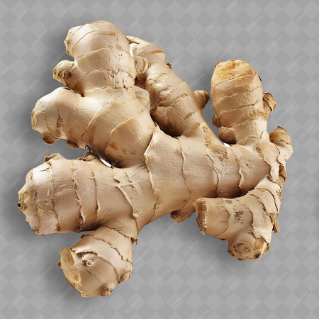 ORGANİK ZENCEFİL TOZU