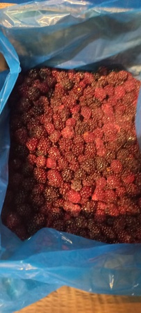 Замороженная ежевика