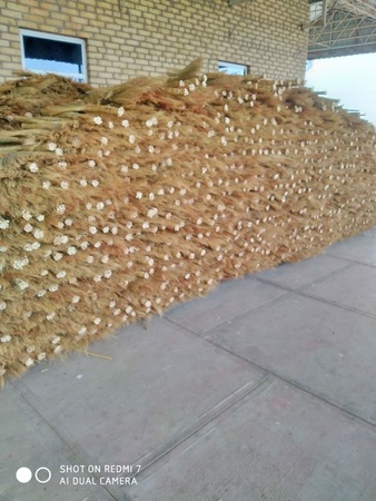 Веники из сорго для чистоты