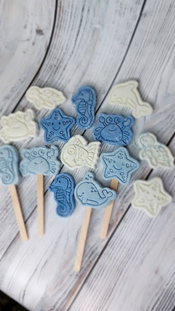 Katı banyo köpüğü