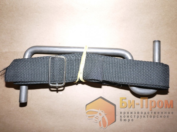 دعامة الخلية