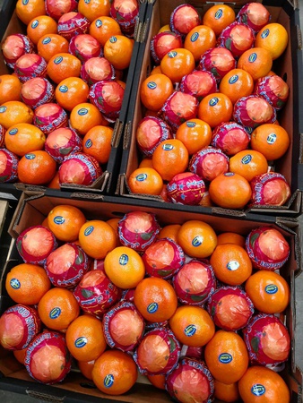 Апельсины сорт Navel