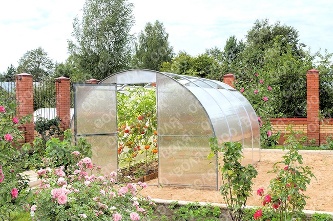 Теплица "Орион"