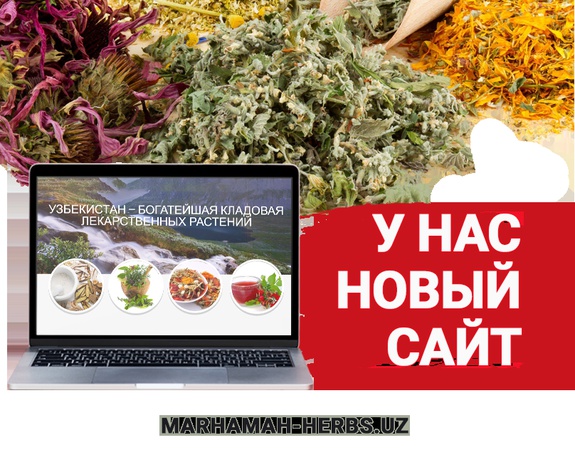 Зелень, лекарственные травы и растения из Узбекистана по низким ценам!