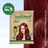 Nisha Naturemate Natural Henna Based Hair Color 90g - Mahogany | Ammonia-Free, PPD & Resorcinol Free | 100% Grey Coverage Hair Colour