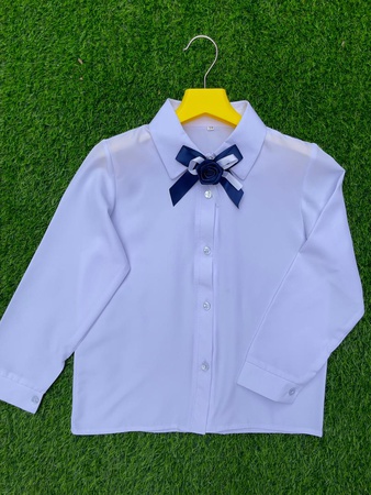 Школьные блузки