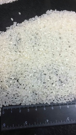 Parlatılmış pirinç