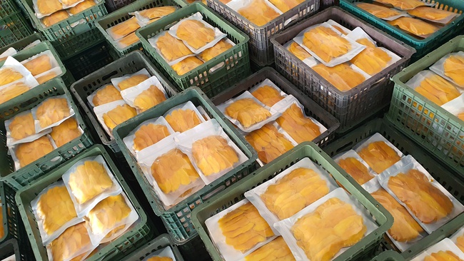 Kurutulmuş Mango. OLMISH fabrikalarından kurutulmuş meyveler