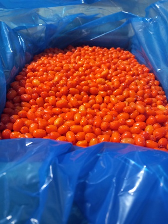 Замороженная облепиха