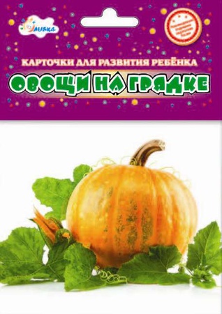 Bebek Gelişim Kartları