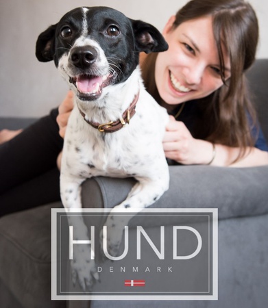 yüksek kaliteli rulo deri yaka