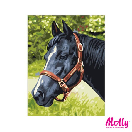 Sayıya göre boya Voronoi