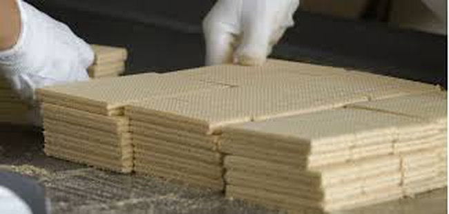 sesame and salty stick, wafer