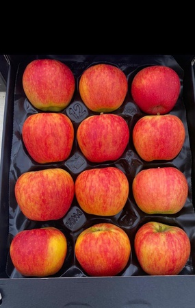 Таласские яблоки