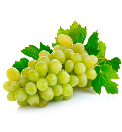 ВИНОГРАД ХУСАЙНЕ / GRAPE HUASYN