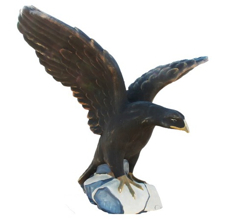 Küçük bir kayanın üzerinde büyük kartal