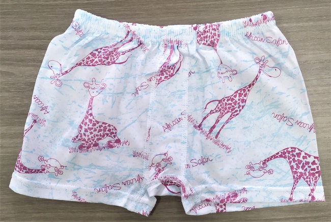 Erkek çocuk külot 13001-2 baskılı desen