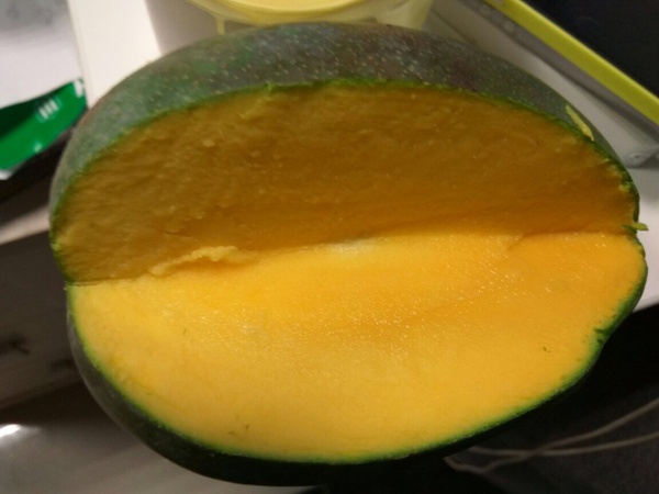 манго сорт кейт