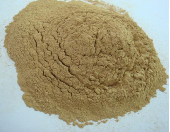 2-Fluorophenylnitropropene