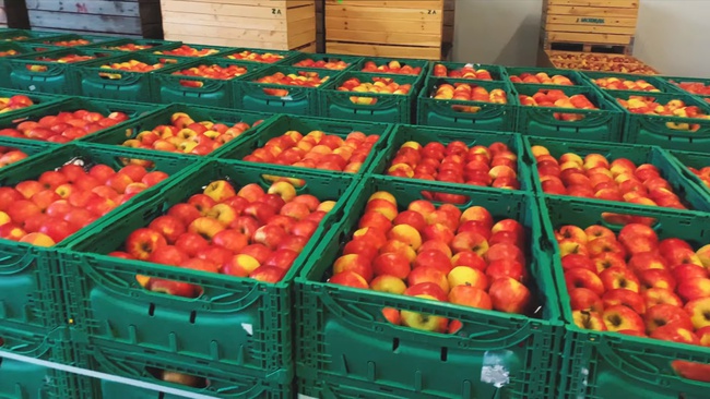 Meyve sebze Zeytinyağı