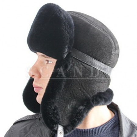 كاستور ريكس