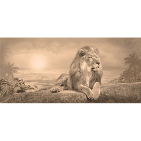 Лев / 3 полосы