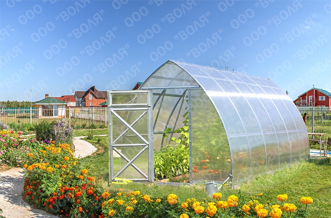 Sera &quot;Dachnaya-Strelka&quot;