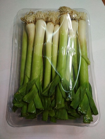 Чеснок зелёный молодой