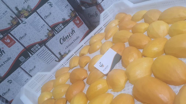 Манго Заморозка Оптом. Прямая поставка с завода