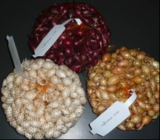 Sebze ve meyveleri paketlemek için ekstrüzyon ağ kılıfı