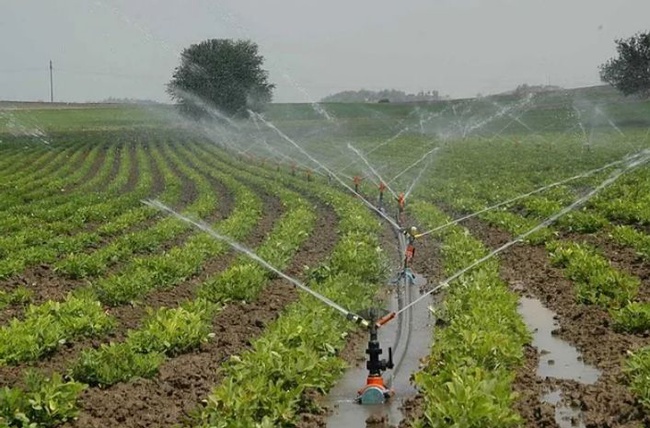 ОРОСИТЕЛЬНЫЕ СИСТЕМЫ (ПЭ-100  6 бар)