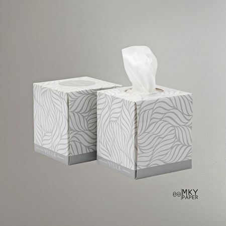 Family Facial Tissue Box Plastic  Mixed Pulp Recycled Pulp Car Refill Tissue OEM Box 13gsm 2ply 20X20cm 100sheets/box 48 boxes per carton
