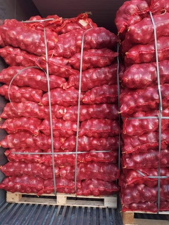 Лук Красный, Золотой