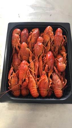 Пресноводные живые и варенные раки в соусе