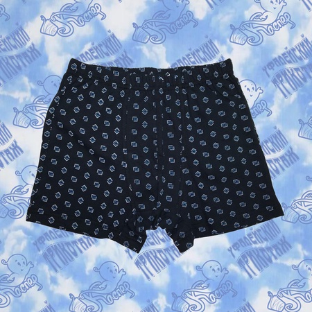 Трусы мужские 02-12004