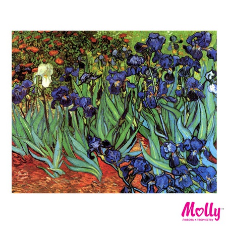 Paint by number Van Gogh. Irises