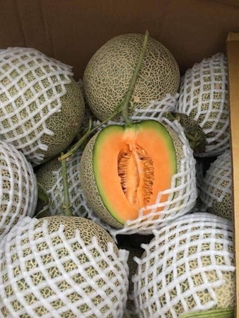 Фрукты и овощи