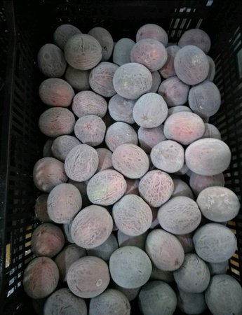 ÇARKIFELEK MEYVESİ Dondurulmuş Toptan Satış. Fabrikadan doğrudan teslimat