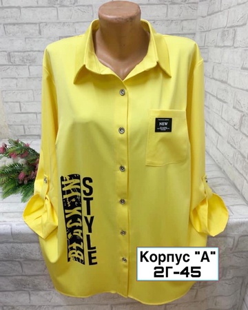 Stylish women's blouse