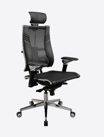 Yoga Spine Triumph L2 (M06)